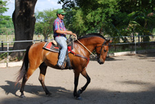 Costa Rica-Guanacaste-Tropical Riding Adventure